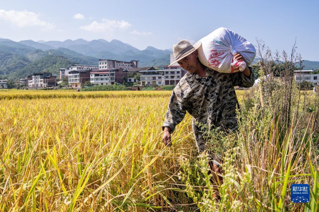 新莆京官网登录